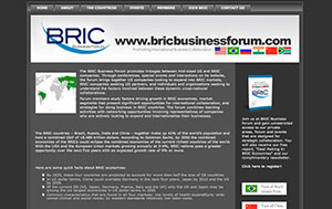 Brics Connect