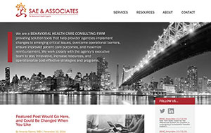 SAE & Associates
